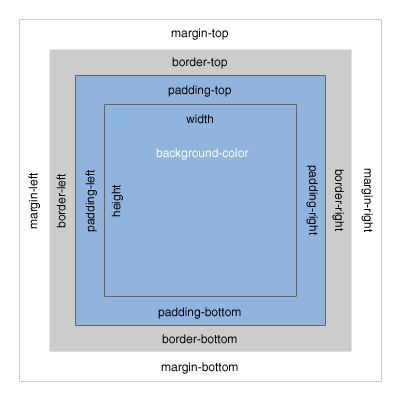 Box model diagram